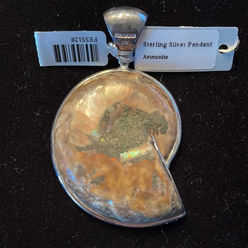 Starborn pendant - Picture 2 of 6